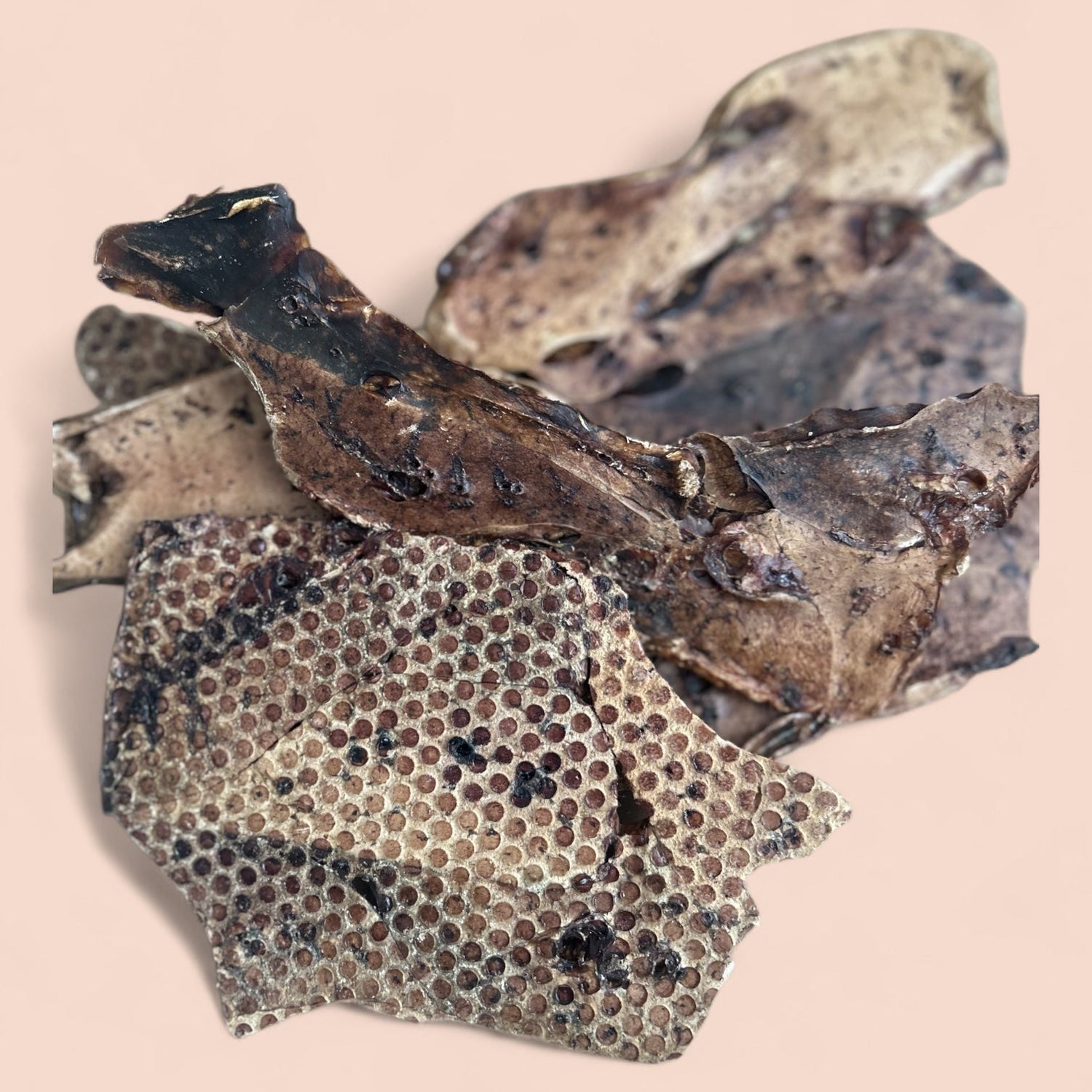 motivation & engagement