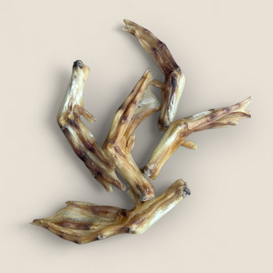 duck feet
