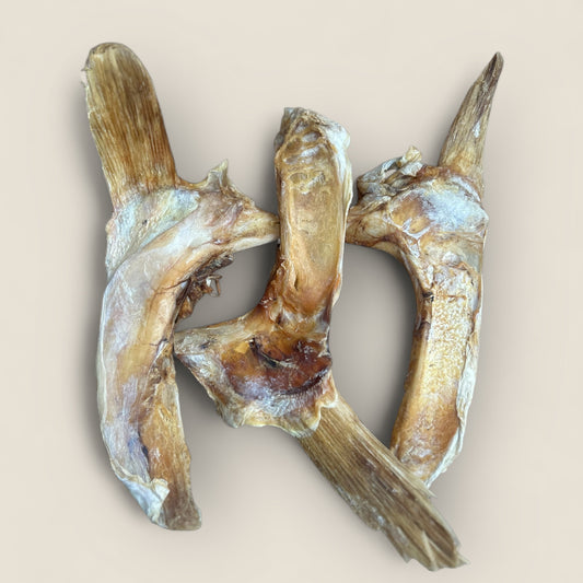 fish collarbone