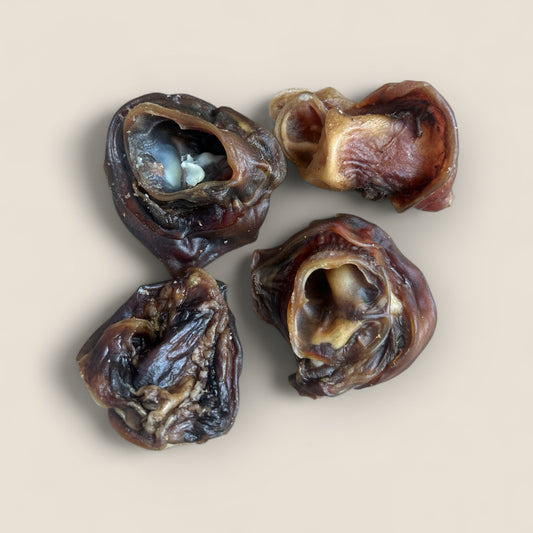 beef ear scroll